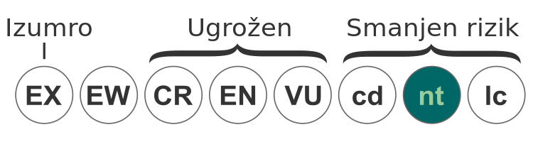 Status iucn2.3 NT hr.svg